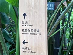 -深圳仙湖植物园