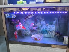 -朋朋修脚(友好广场店)