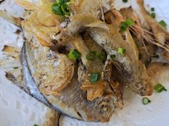 -骆驼阿三饭店(迪赛邻里店)