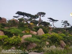 -罗红摄影艺术馆