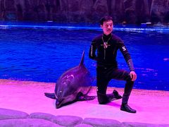 -华夏文旅海洋公园