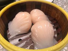 -金香匯晚茶(浑南店)