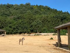 -杭州野生动物世界