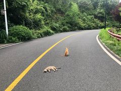 -宝界山林公园
