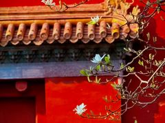 -北京市劳动人民文化宫(太庙)