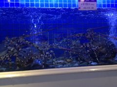 iphone_upload_pic-金苑海鲜酒家(来魅力店)