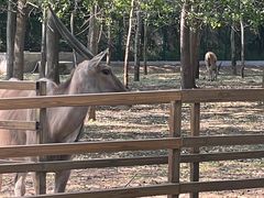-秦皇岛野生动物园