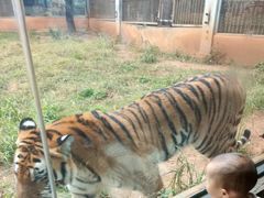 -昆明动物园