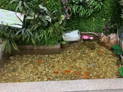 -松坂屋日料自助(长城路店)