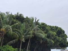 -深圳湾公园(南山区)