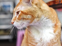 -非遗·爱西干面(小公园总店)