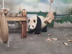 -无锡动物园·太湖欢乐园
