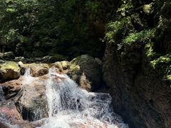 -牛背梁国家森林公园