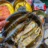 缸里现捞 想吃什么直接拿 肉眼可见的新鲜！