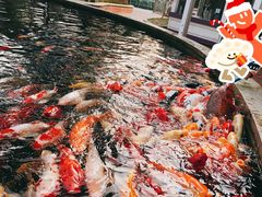 -国色天乡三期陆地乐园