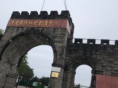 -铁山坪森林公园