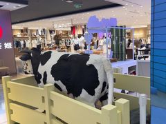 -红星前进面包牛奶公司(君太店)