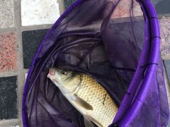 -酷鱼垂钓CLUB(朝阳区博大路店 )