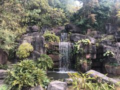 -广州神农草堂中医药博物馆