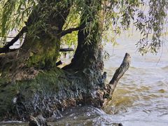 -捞渔河湿地公园