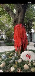 点击看大图 -莲生母婴月子中心(清水河公园店)