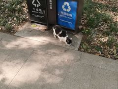 -上海佘山国家森林公园天马山园