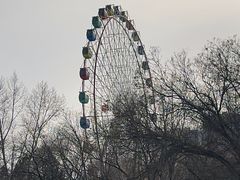 -青城公园