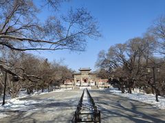 -北陵公园