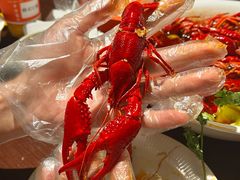 -成都娃娃花园餐厅 (南艺旗舰店)