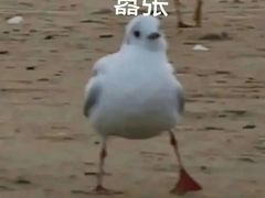 -大堂吧·下午茶·特调鸡尾酒(大连一方城堡豪华精选酒店)