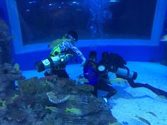 -成都浩海立方海洋公园