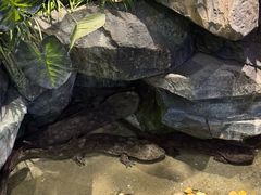 -无锡动物园·太湖欢乐园