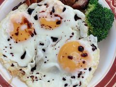 -肥韬茶餐厅(南山mini店)
