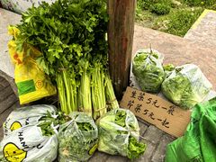 -红山村