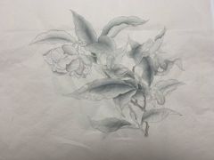 -八哥美术·成人美术画室(总校区)