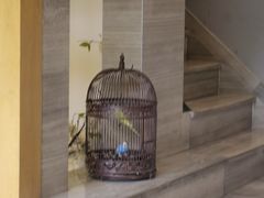 -云中漫步·足疗养生会馆(金开店)