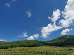 -塞罕坝国家级自然保护区