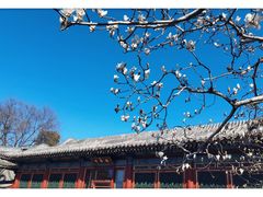 -颐和园