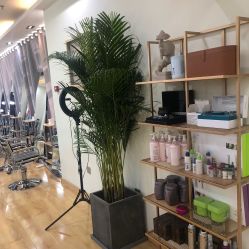 -涩谷· Hair Salon