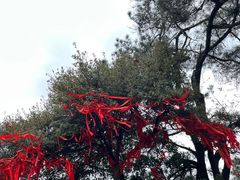 -缙云山景区