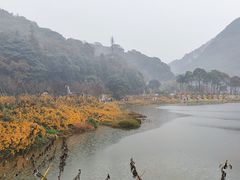 -广州市石门国家森林公园