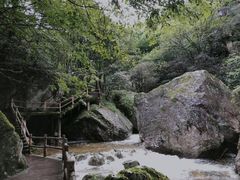 -牛背梁国家森林公园