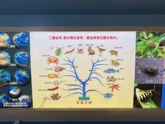 -上海昆虫博物馆