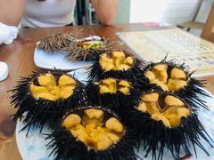 -海胆小馆(东北水饺·春柳店)