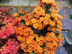 -循礼门鲜花花市(武汉循礼门店)