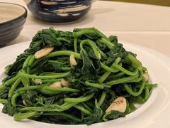 -沙龙酒家