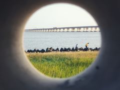 -南汇嘴观海公园