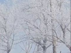 -雾凇岛