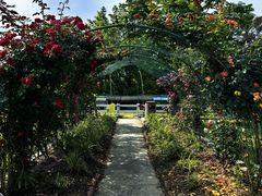 -宁波九龙湖开元度假村