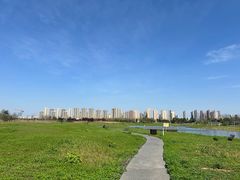 -洋湖国家湿地公园